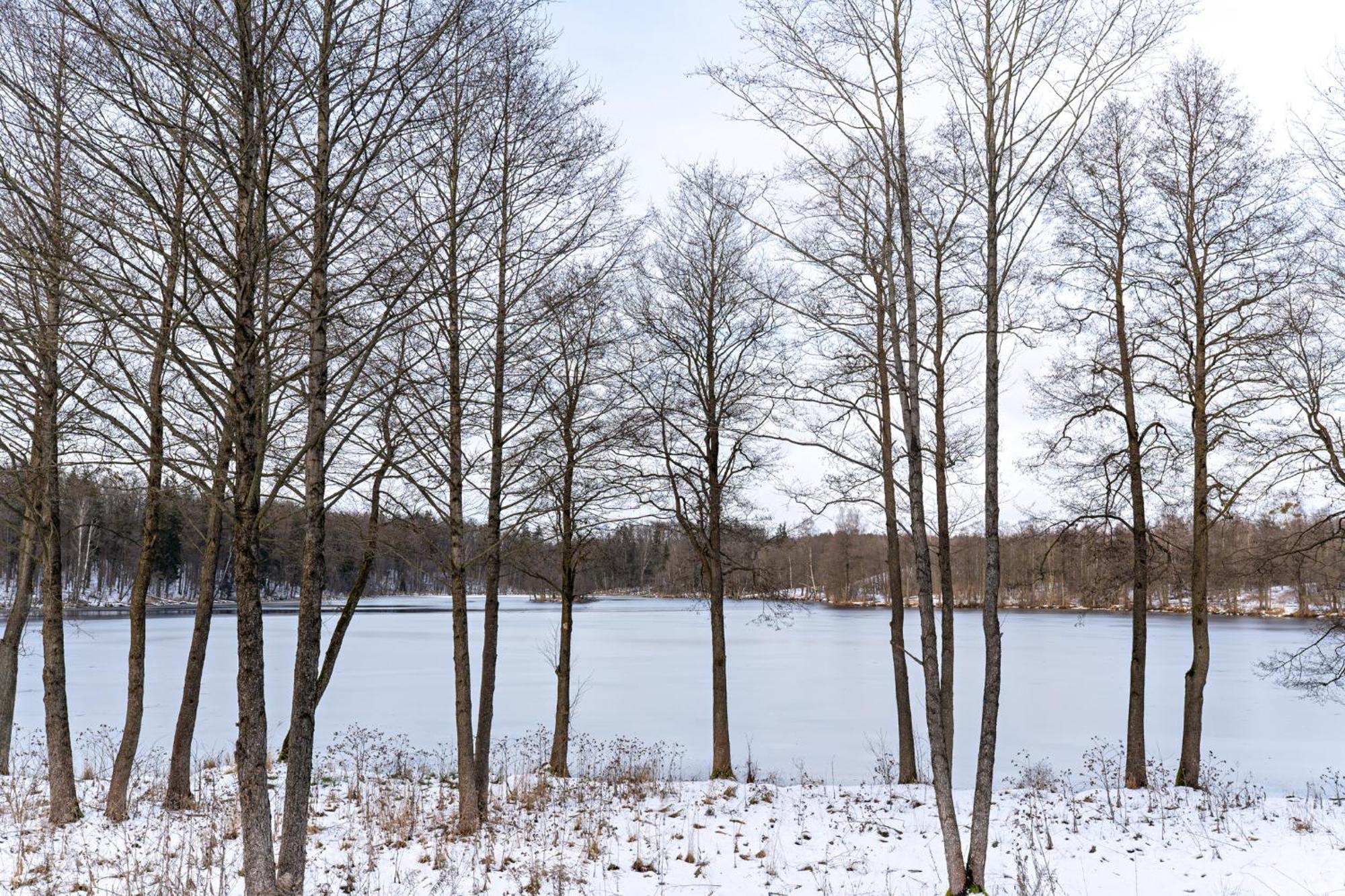 Appartamento Ptasi Przyladek Mrągowo Esterno foto